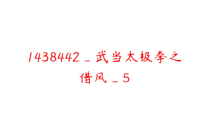 1438442_武当太极拳之借风_5