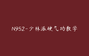 N952-少林派硬气功教学