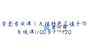 全套专业课｜九植特色花植手作系统课(100节）-120
