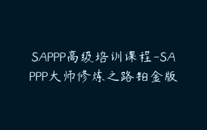 SAPPP高级培训课程-SAPPP大师修炼之路铂金版