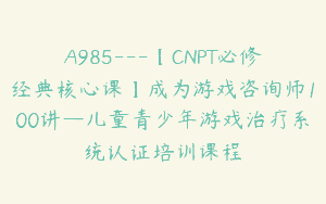 A985—【CNPT必修经典核心课】成为游戏咨询师100讲—儿童青少年游戏治疗系统认证培训课程