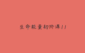 生命能量初阶课11