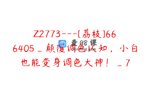 Z2773---[荔枝]666405_颠覆调色认知，小白也能变身调色大神！_7