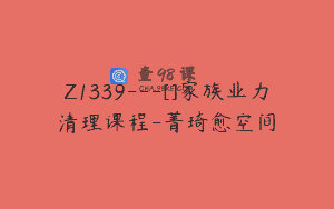 Z1339—[]家族业力清理课程-菁琦愈空间