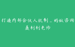 打造内部合伙人机制_蚂蚁咨询聂利利老师
