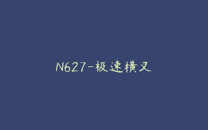 N627-极速横叉
