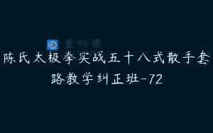 陈氏太极拳实战五十八式散手套路教学纠正班-72