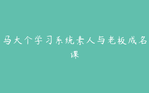 马大个学习系统素人与老板成名课