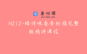 N212-臻传咏春拳标指完整版精讲课程