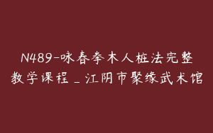 N489-咏春拳木人桩法完整教学课程_江阴市聚缘武术馆
