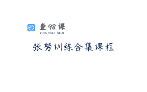 张努训练合集课程