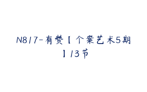 N817-有赞【个案艺术5期】13节