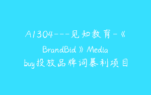 A1304—见知教育-《BrandBid》Mediabuy投放品牌词暴利项目