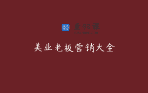 美业老板营销大全