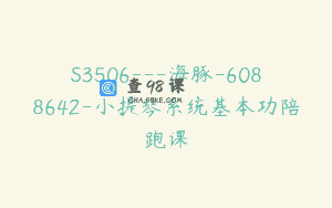 S3506—海豚-6088642-小提琴系统基本功陪跑课