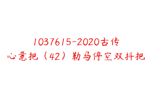 1037615-2020古传心意把（42）勒马停空双抖把