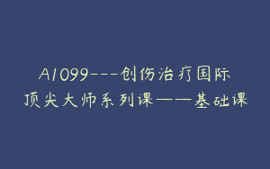 A1099—创伤治疗国际顶尖大师系列课——基础课
