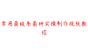 食用菌枝条菌种实操制作视频教程