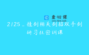 2125_挂剑相关剑招双手剑研习社密训课