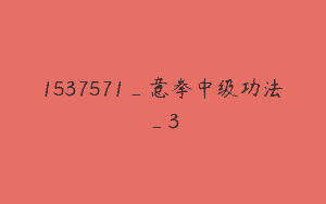 1537571_意拳中级功法_3