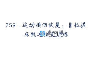 259_运动损伤恢复：普拉提床凯迪拉克训练