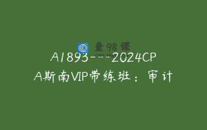 A1893—2024CPA斯南VIP带练班：审计
