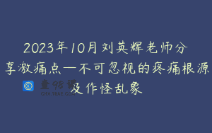 2023年10月刘英辉老师分享激痛点—不可忽视的疼痛根源及作怪乱象