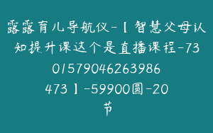 露露育儿导航仪-【智慧父母认知提升课这个是直播课程-7301579046263986473】-59900圆-20节
