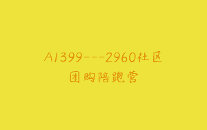 A1399—2960社区团购陪跑营
