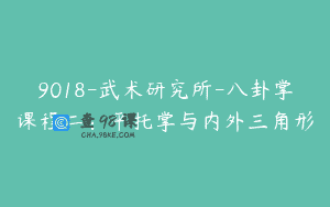 9018-武术研究所-八卦掌课程二：平托掌与内外三角形