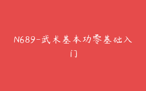 N689-武术基本功零基础入门