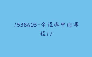 1538603-全程班中综课程17