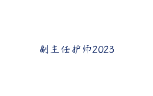 副主任护师2023