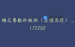 梅花易数终极班（实操高级）_172202