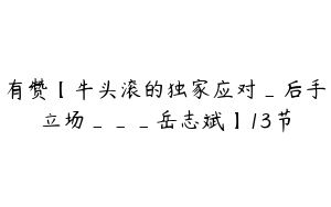 有赞【牛头滚的独家应对_后手立场___岳志斌】13节