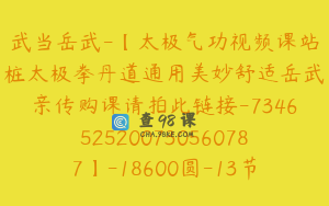 武当岳武-【太极气功视频课站桩太极拳丹道通用美妙舒适岳武亲传购课请拍此链接-7346525200730560787】-18600圆-13节