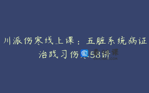 川派伤寒线上课：五脏系统病证治践习伤寒58讲