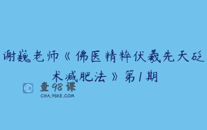谢巍老师《佛医精粹伏羲先天砭术减肥法》第1期