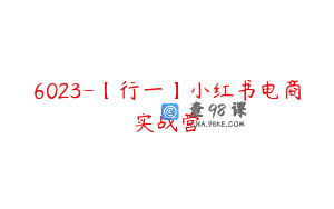 6023-【行一】小红书电商实战营