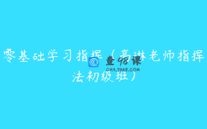 零基础学习指挥（高琳老师指挥法初级班）