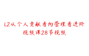 L2从个人贡献者向管理者进阶视频课28节视频