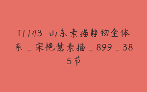 T1143-山东素描静物全体系_宋艳慧素描_899_385节