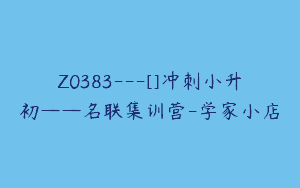 Z0383---[]冲刺小升初——名联集训营-学家小店