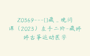 Z0369---[]藏_晚间课（2023）左手二阶-藏婷婷古筝运动医学