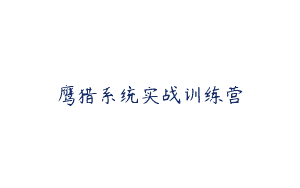 鹰猎系统实战训练营