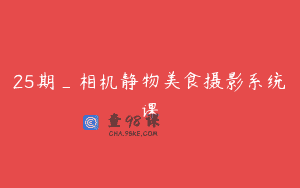 25期_相机静物美食摄影系统课