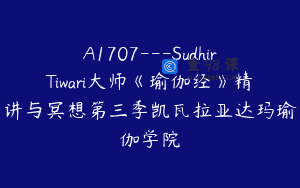 A1707—SudhirTiwari大师《瑜伽经》精讲与冥想第三季凯瓦拉亚达玛瑜伽学院