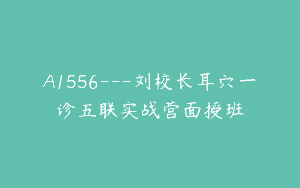 A1556—刘校长耳穴一诊五联实战营面授班