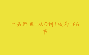 一头鲸鱼-从0到1成为-66节