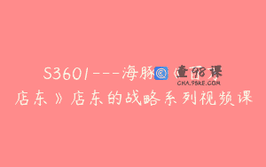 S3601—海豚-《百万店东》店东的战略系列视频课